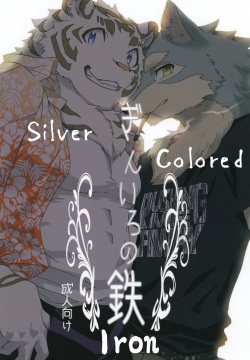 Gin Iro no Tetsou | Silver Colored Iron